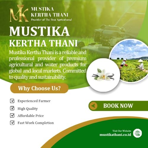 WhatsApp Image 2026-01-26 at 09.40.30