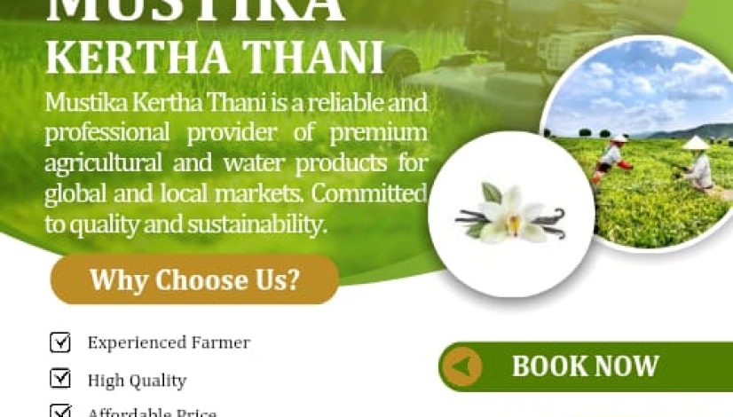 WhatsApp Image 2026-01-26 at 09.40.30