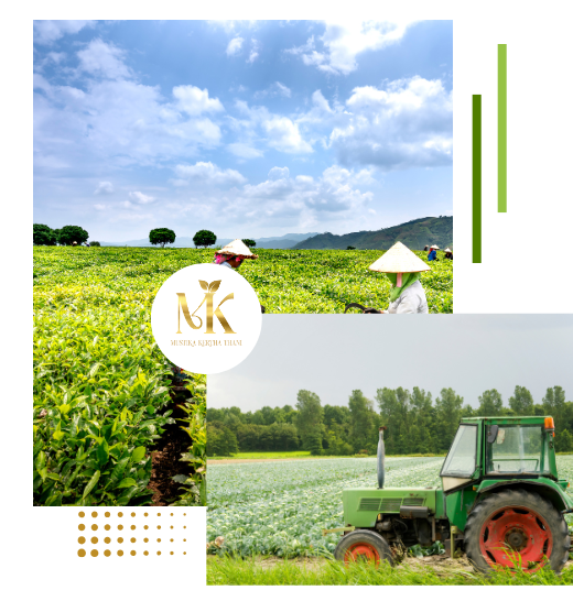 mustika thani's about