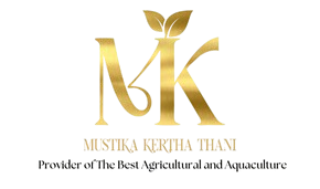 Cormorant_Garamond__4_-removebg-preview