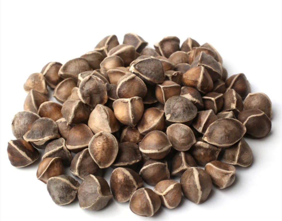 WhatsApp Image 2025-11-05 at 08.30.04