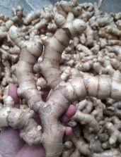 WhatsApp Image 2025-11-24 at 09.50.56